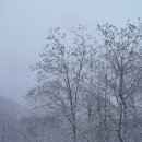 순천 조계산 눈풍경.... 이미지