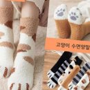 삭 - 마포구 독막로 71 | 삭