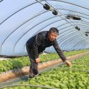 김성배축산 이미지