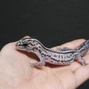 4공단로-28 이미지