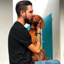 닥스훈트(DACHS HUND) 이미지