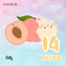 덥고 습한 일상 주간