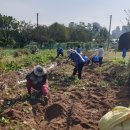 박진수농장 이미지