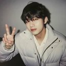 강아지랑고양이 이미지