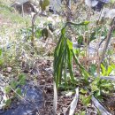 천남농장 이미지