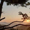 참살이힐링 펜션 이미지