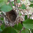 호구농장 이미지