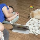 안성면104 | 띵가띵가 노는 일상 🎶