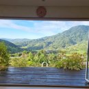 리틀 아쉬람 이미지