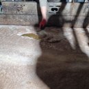 기포농장 이미지