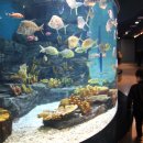 태수아쿠아 이미지