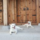 함양가든 이미지