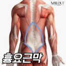 아크짐 이미지