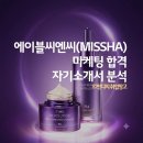 MISSHA (에이블씨엔씨) 채용대비 상품기획 합격자 이력 및 자기소개서 분석