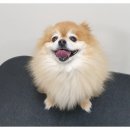 더바름동물병원 이미지