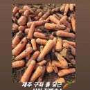 아삭달달 정말 후기좋은! 싱싱한 산지직송 제주 구좌 흙 당근 ! 🥕 이미지