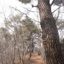 토지주유소 이미지