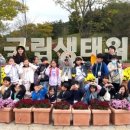 주식회사 숲 이미지