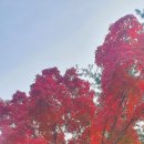 지에스25뉴장암휴게소점 | [2025.10.30] 추억 사진