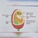 1424바리스타학원