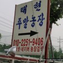 항산농장 Daum카페