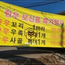 목현 정육마트