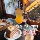 요고조고제주 | 제주 공항 근처 감성 카페 용소담 내돈내산