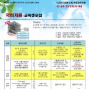 다우디자인 이미지