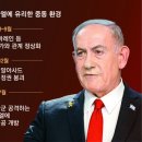라일라즈 이미지