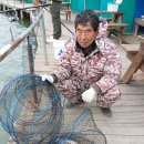 독도바다낚시터 이미지