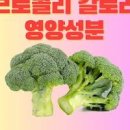 브로콜리 효능 칼로리 브로콜리분말 효능 이미지