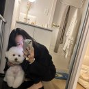 마이제이스 이미지