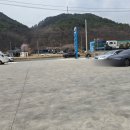 자명국수