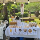 퐁낭퐁낭 이미지