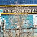 서부산동물메디컬센터 네이버블로그