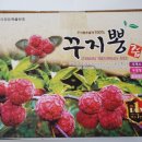 다다웰빙식품 | 다다웰빙식품 꾸지뽕액기스 진해서 좋네!