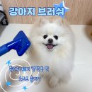 퍼피퍼피 | 강아지 털 관리 꿀템, 플러쉬 퍼피 슬리커 사용 후기