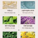 셀바이셀 세럼비비 내돈내산 힛팬 공병 후기 파데프리 메이크업 정착