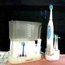 &#34;이재명은 몰랐다&#34; 재판부의 결정적 한마디에 조작 기소 검찰 초토화! 대장동 하나 붙잡고 버티던 국힘, 역대급 집단 멘붕! 이미지