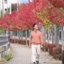 퇴계천길 이미지