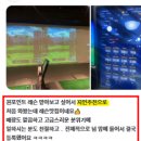 QED골프연습장 이미지