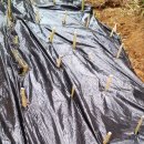 가영농장 이미지