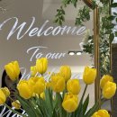 Venue Tour | 노블발렌티 삼성점 상담 & 당일 계약 후기 (종소리가 울리는 채플 웨딩 🔔)