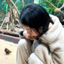 카페융가비 이미지