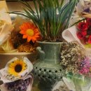 당산화원 이미지