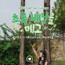 초록배낭