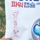 코튼블루