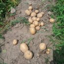 구산농장 이미지