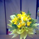 후리지아 이미지