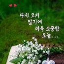 인사말 이미지 2.8(토요일) 이미지